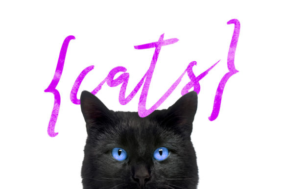 Hattes Font PNG with transparent background - Preview 1