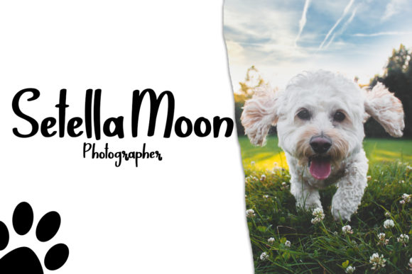 Mokondoo Font PNG with transparent background - Preview 3