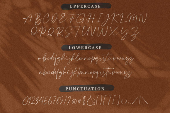Plumrose Signature Font PNG with transparent background - Preview 2
