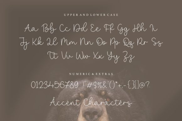 Bearline Font - Preview 5