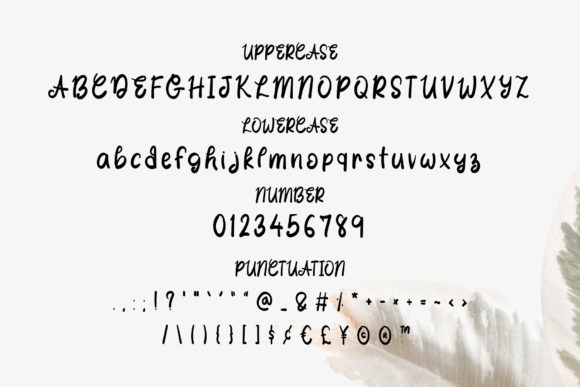 Dark Brown Font - Preview 2