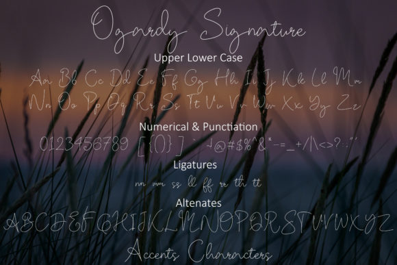 Ogardy Signature Font PNG with transparent background - Preview 5