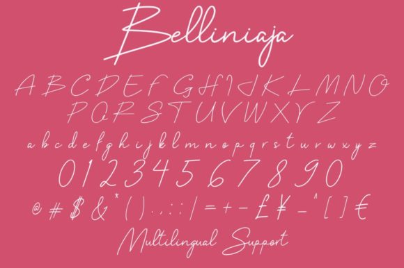 Belliniaja Font - Preview 5