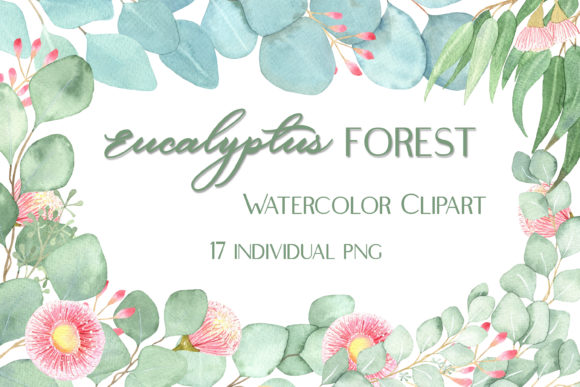 Watercolor Eucalyptus Foliage Clipart Graphic Illustrations By outlander1746