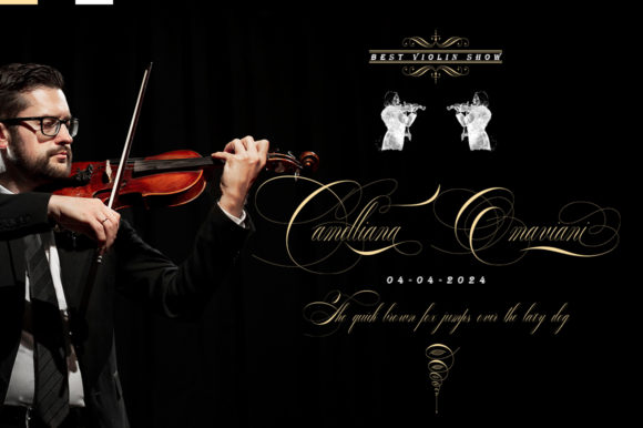 Banalline Signature Font - Preview 1