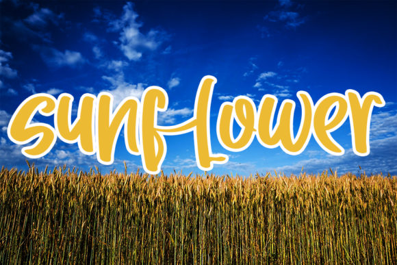 Beautiful Font - Preview 1