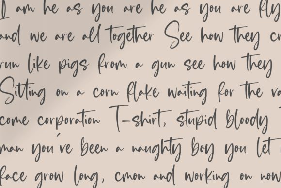 Blankside Font - Preview 4