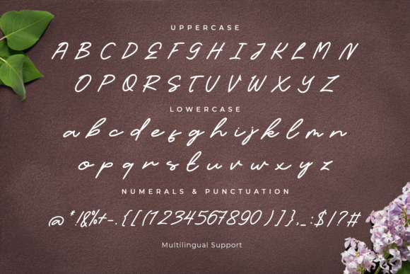 Candelia Font - Preview 1