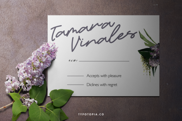 Candelia Font - Preview 3