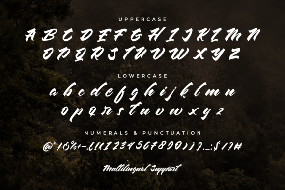 Chesnut Font - Preview 1