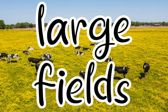 Farmhouse Font - Preview 2