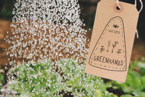Green Farm Font - Preview 6