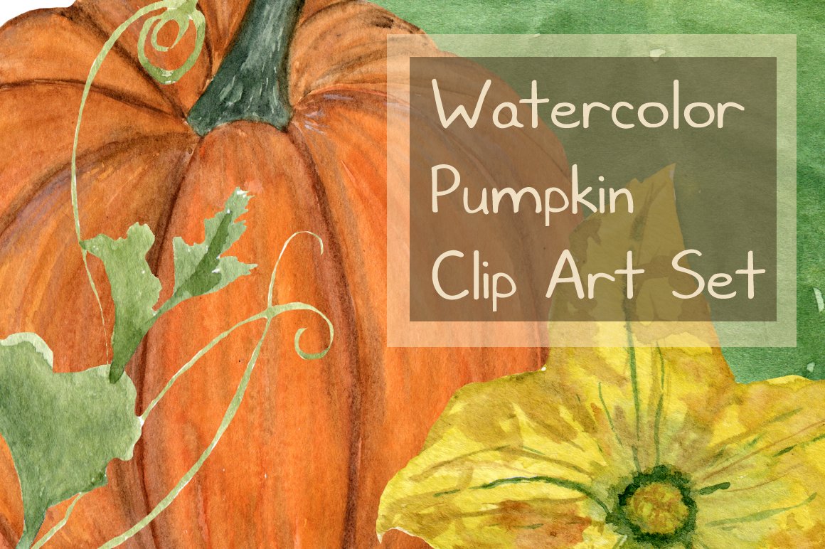 15 Watercolor Pumpkin Clip Art Set Graphic by tatibordiu · Creative Fabrica