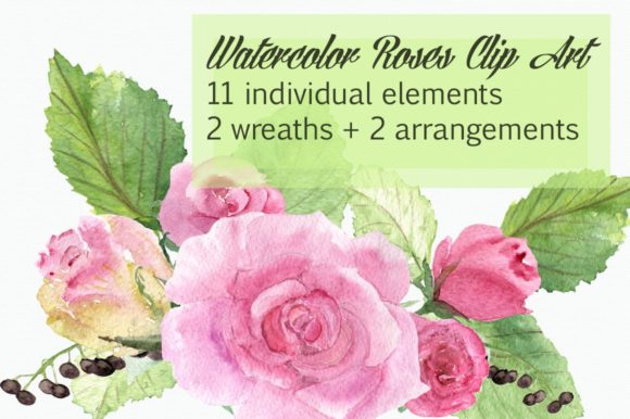Watercolor Roses Clip Art Graphic Illustrations By tatibordiu