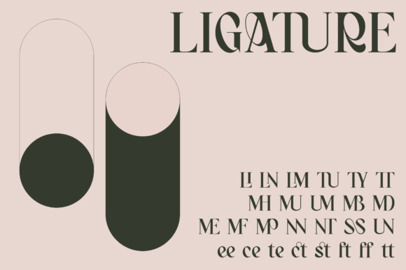 Bagerich Font - Preview 4