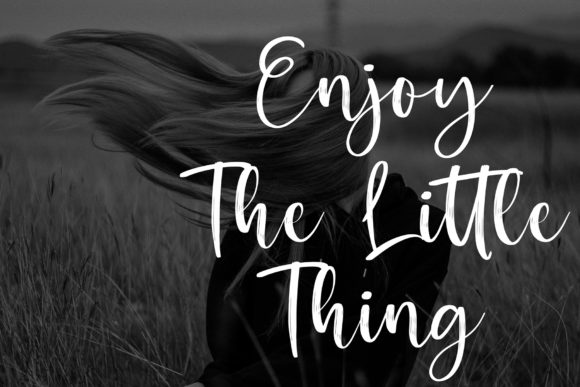 Bitheris Font - Preview 1