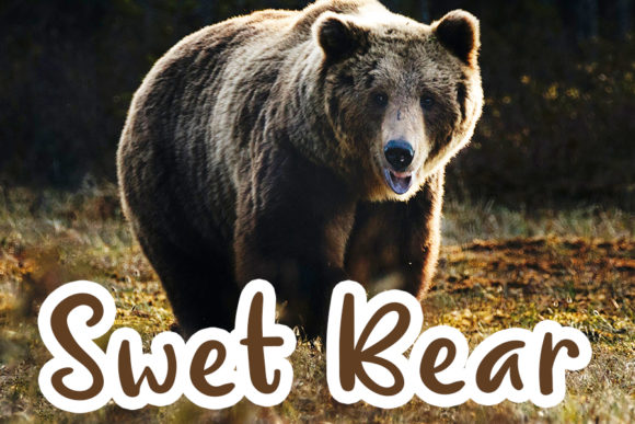 Busy Bear Font - Preview 2