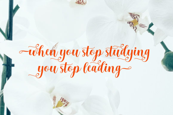 Gidget Font - Preview 3