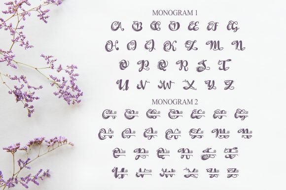 Broolia Monogram Font - Preview 4