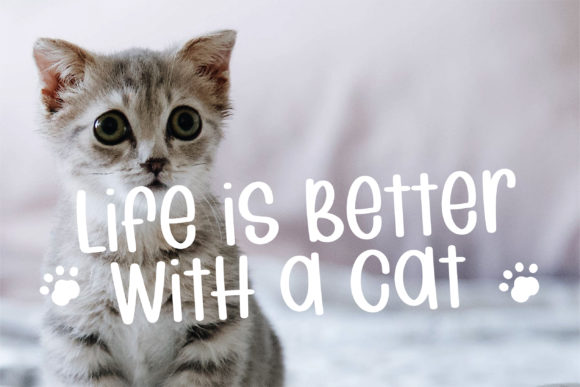 Cat Brothers Font - Preview 2