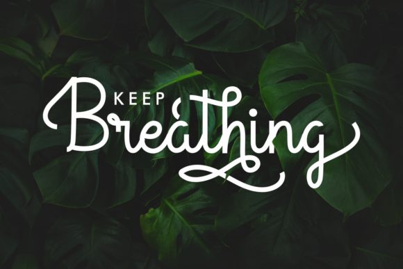 Granadile Font - Preview 4