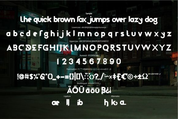 Dileto Font - Preview 5