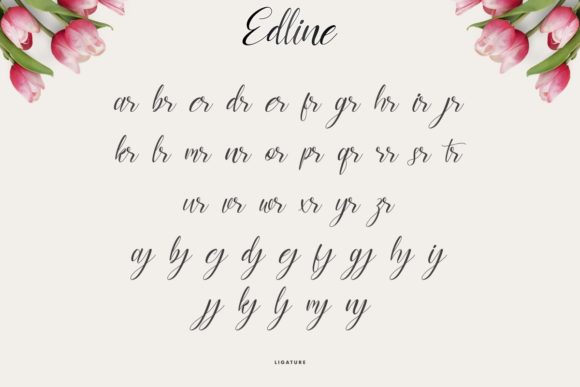 Edline Font - Preview 6