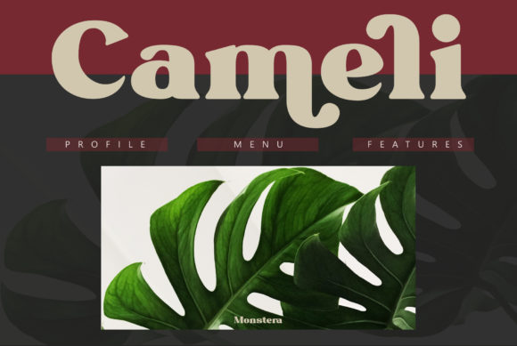 Givani Font - Preview 3