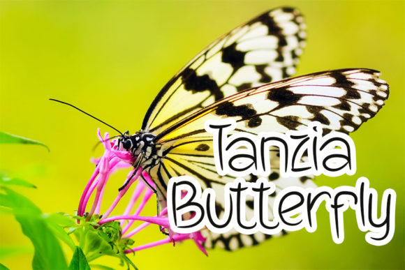 Butterfly Font - Preview 2