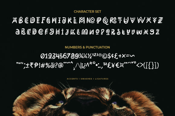 Rimba Andalas Font font preview - 4