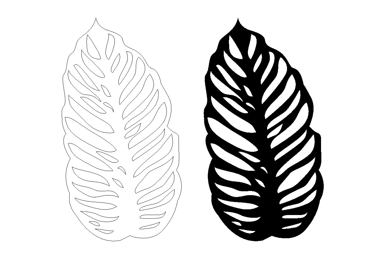 Monstera Leaf Svg Graphic by AP  Creative Fabrica