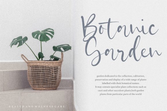 Castilla Font - Preview 3
