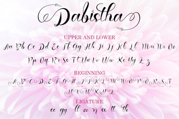 Dabistha Font - Preview 6