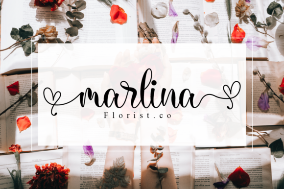 Kamiley Font PNG with transparent background - Preview 2