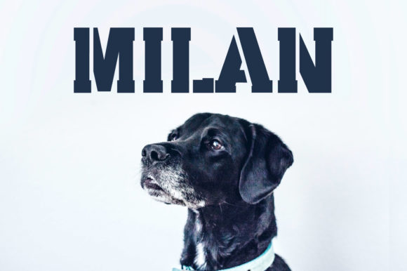 Milan Stencil Font PNG with transparent background - Preview 1