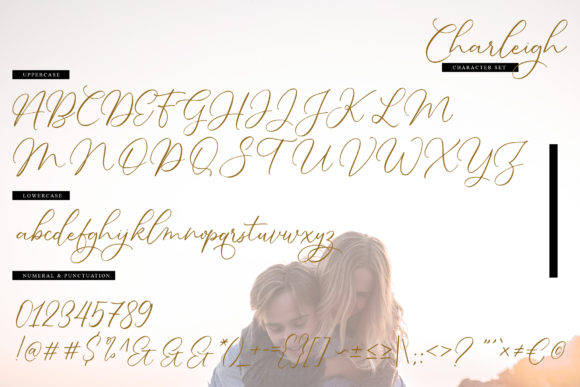 Charleigh Font - Preview 5