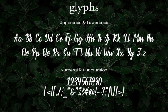 Debuar Font - Preview 2