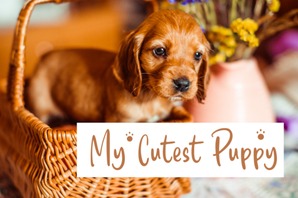 October Story Font PNG with transparent background - Preview 3