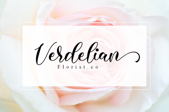 Gardenia Font - Preview 2