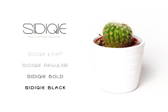 Sidiqie Family Font PNG with transparent background - Preview 1