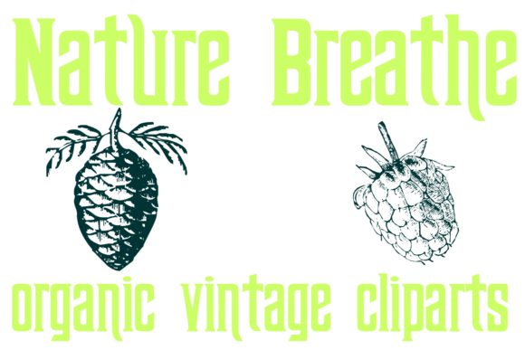 Nature Breathe Font PNG with transparent background - Preview 1