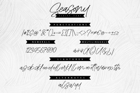Seasony Font PNG with transparent background - Preview 4