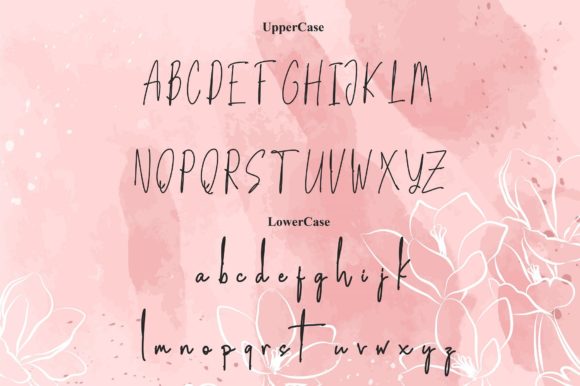 Amalia Country Font - Preview 2