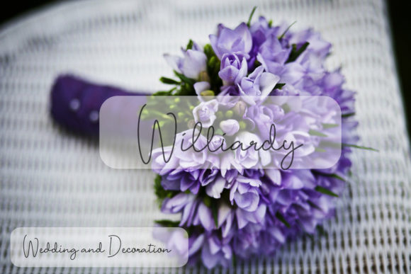 Bellissimo Font - Preview 2