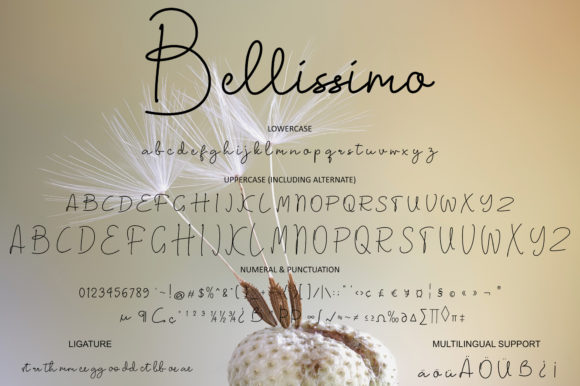 Bellissimo Font - Preview 5