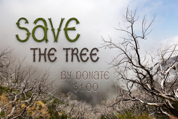 Branch Font - Preview 2