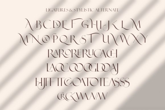 Croom Font - Preview 4