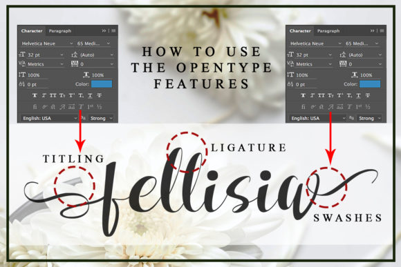 Fellissia Font - Preview 5