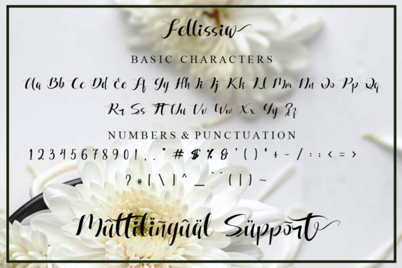 Fellissia Font - Preview 6