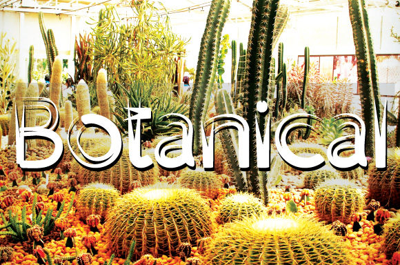 Grassitto Font - Preview 1